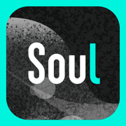 SoulѰٷv5.65.0׿°